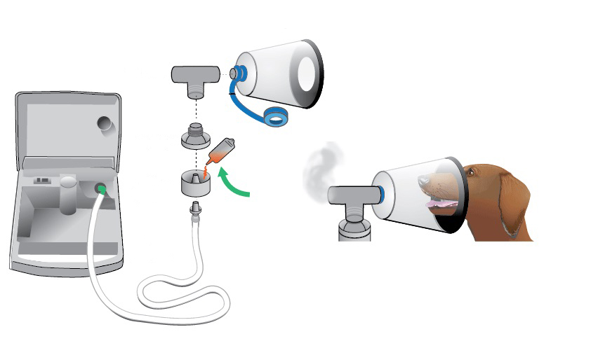 Nebulizatorul este bun si pentru animale